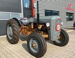 Ferguson FE35 Goudbuikje Massey Ferguson, Ophalen, Gebruikt, Tot 80 Pk, Massey Ferguson