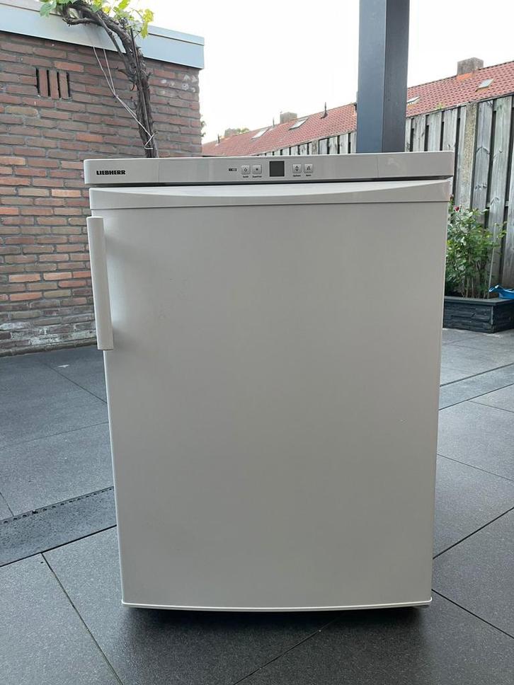 Liebherr GN 1066-20 A+ No Frost Vriezer z.g.a.n., Witgoed en Apparatuur, Vriezers en Diepvrieskisten, Zo goed als nieuw, Vrijstaand
