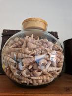 Schelpen, Huis en Inrichting, Woonaccessoires | Kransen, Ophalen of Verzenden, Zo goed als nieuw