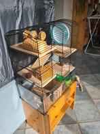 Hamsterkooi Vitru 1 Zwart, dubbele uitvoering, Dieren en Toebehoren, Kooi, 60 tot 90 cm, Minder dan 75 cm, Ophalen of Verzenden