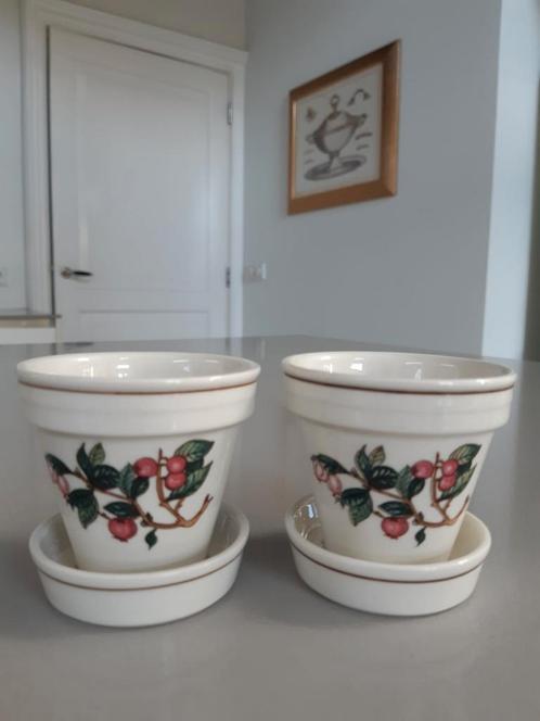 Set van 2 bloempotjes Villeroy en Boch Botanica, Huis en Inrichting, Keuken | Servies, Zo goed als nieuw, Overige stijlen, Ophalen of Verzenden