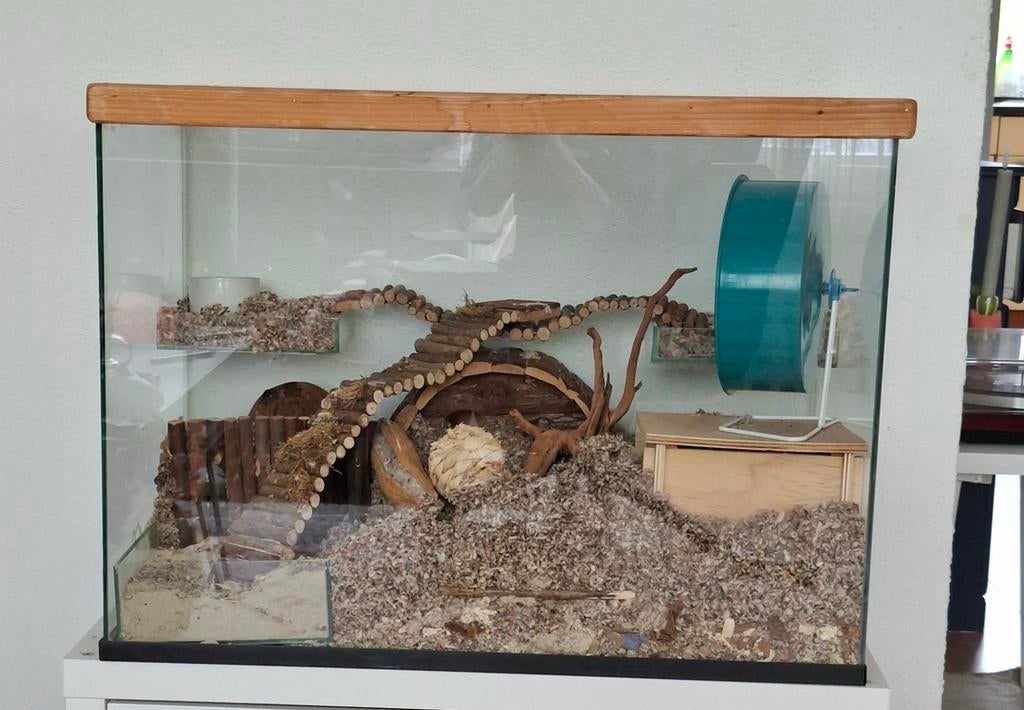 Hamster terrarium, Dieren en Toebehoren, Ophalen, Gebruikt, Terrarium of Paludarium