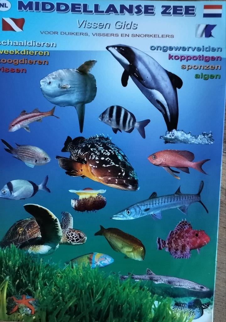 Middellandse Zee Vissen Gids voor duikers en snorkelaars, Ophalen of Verzenden, Gelezen