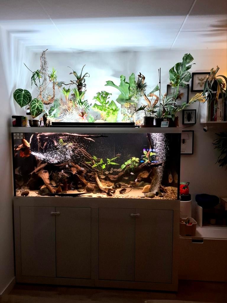 Aqualife aquarium 170x70x70cm, Ophalen