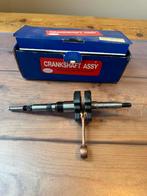 Krukas morini | NIEUW, Ophalen of Verzenden, Nieuw