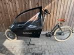 Bakfiets nl Cargo Long Cruiser Elektrische Bakfiets, Gebruikt, Elektrisch, 2 kinderen, Ophalen