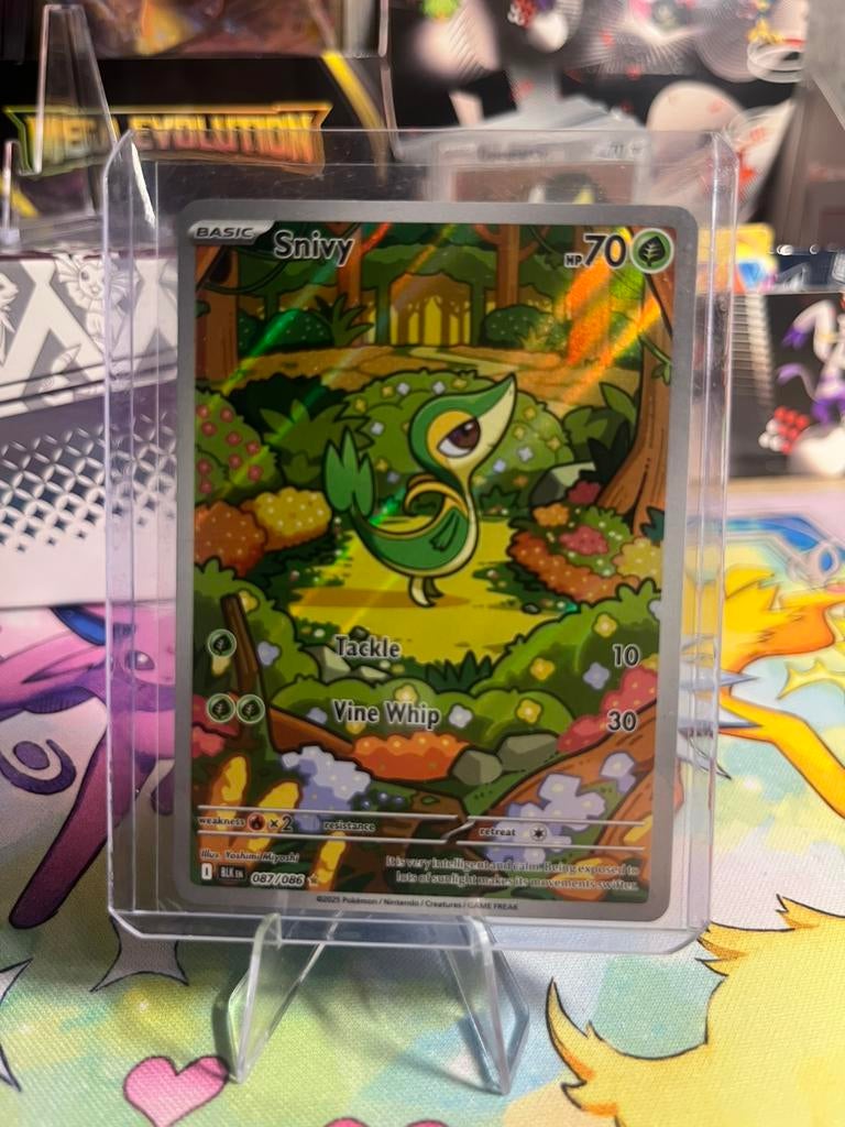Snivy, Ophalen of Verzenden, Zo goed als nieuw