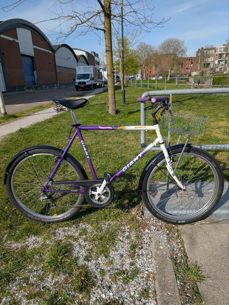 Giant Granite Mountainbike - Paars/Wit, Fietsen en Brommers, Ophalen, Gebruikt, 26 inch, Giant