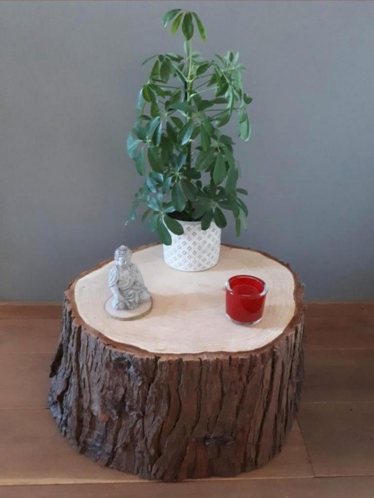 🪵Boomstam salontafel/planttafel van larikshout met schors🌸, Ophalen of Verzenden, Nieuw