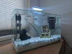 Aquarium Zolux 30 L, Dieren en Toebehoren, Vissen | Aquaria en Toebehoren, Ophalen, Leeg aquarium