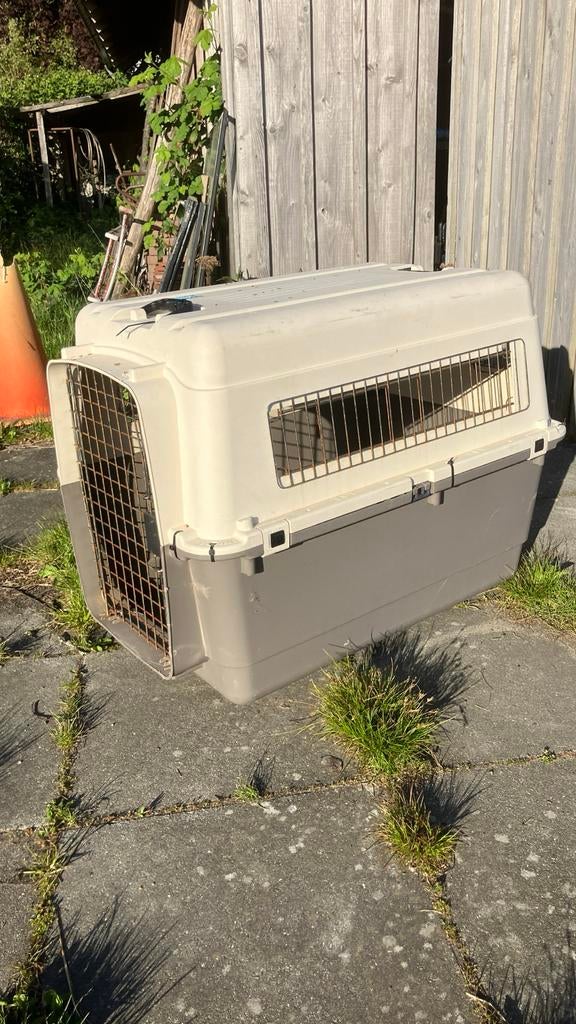 Bench hond airtransport geschikt, Ophalen of Verzenden