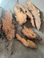 Aantal stukken droog kersen hout van een wrat van de boom, Ophalen, Nieuw