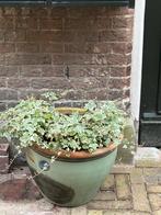 Grote ronde bloempot van keramiek, Ophalen, Overige materialen, Gebruikt, Minder dan 60 cm