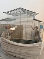 Kanaries incl kooi, Dieren en Toebehoren, Ophalen, Aluminium, Vogelkooi