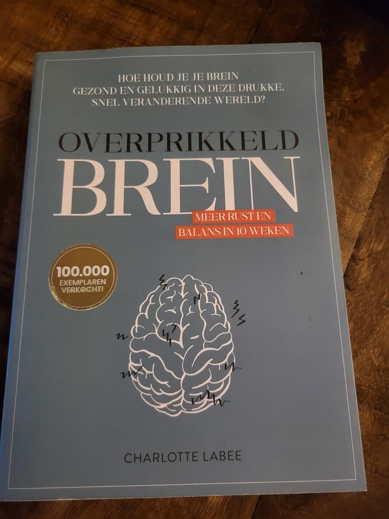 Charlotte Labee - Overprikkeld brein, Boeken, Ophalen of Verzenden, Zo goed als nieuw, Charlotte Labee