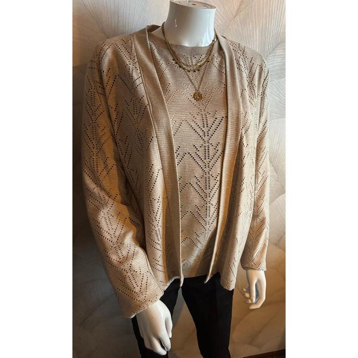 Elvira top + vestje - Maat L, Kleding | Dames, Tops, Zo goed als nieuw, Maat 42/44 (L), Beige, Lange mouw, Verzenden