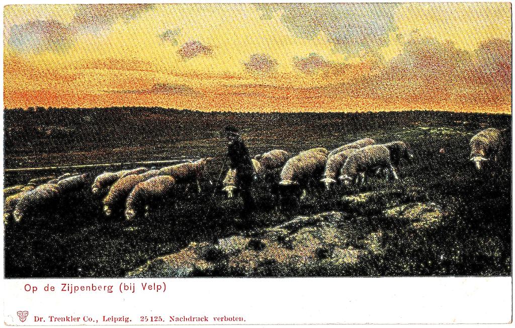 Velp, Op de Zijperberg, voor 1908,ongelopen,uitgave Trenkler, Verzenden, Voor 1920, Ongelopen, Gelderland