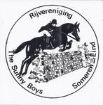 So194 sticker the sunny boys someren - eind, Ophalen of Verzenden, Zo goed als nieuw