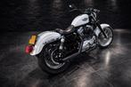 Harley Davidson XLH 883 Hugger 5HD 2003 Anniversary 100 jaar, Motoren, Motoren | Harley-Davidson, Sportuitlaat, 2 cilinders, Chopper
