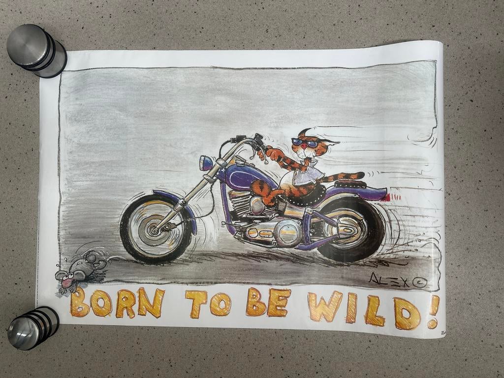 Born to be Wild Poster - 60x90 cm, Rechthoekig Liggend, Ophalen of Verzenden, Zo goed als nieuw, A1 t/m A3