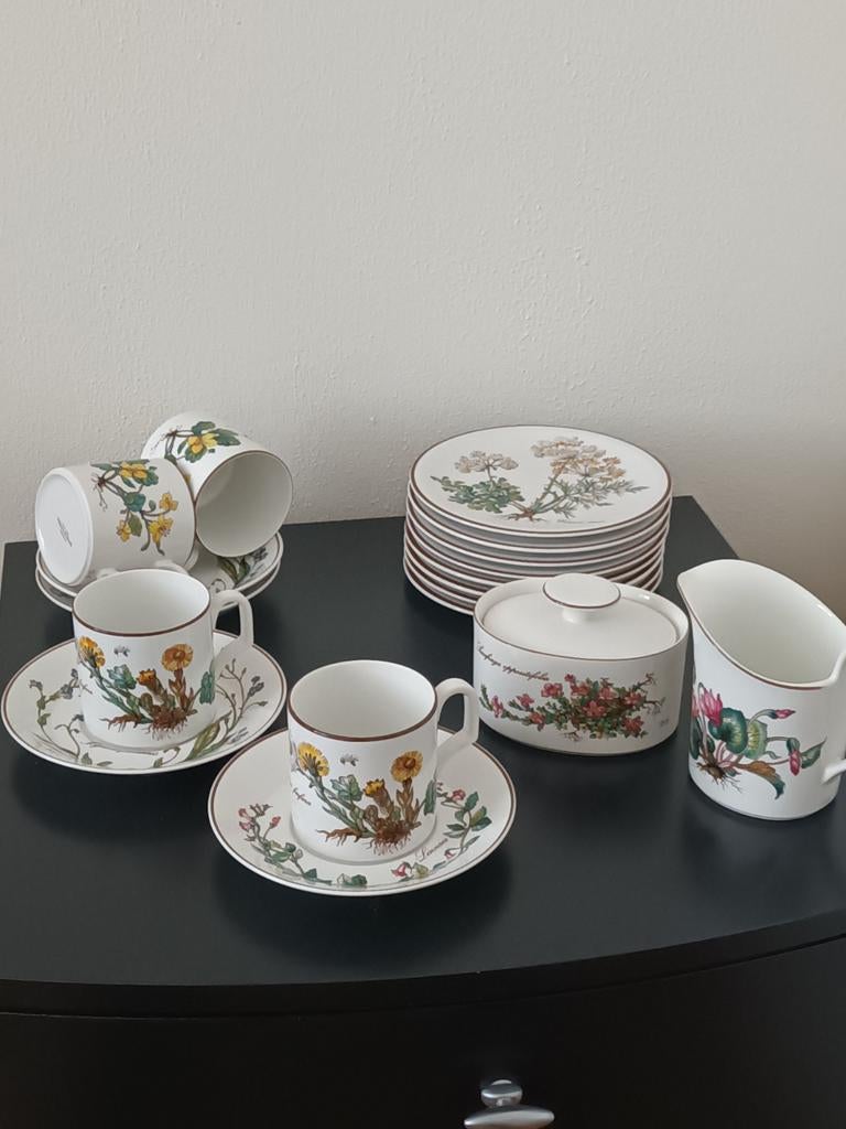 Koffiestel Villeroy & Boch, Antiek en Kunst, Ophalen