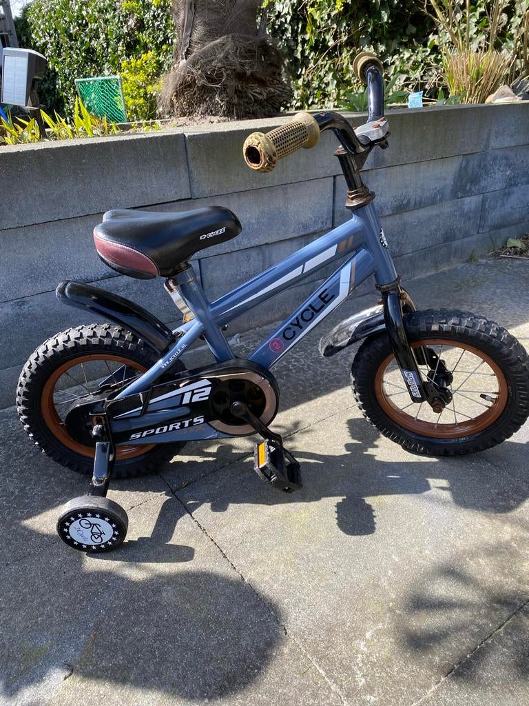 Kinderfiets 12 inch met zijwieltjes, Fietsen en Brommers, Fietsen | Kinderfietsjes, Ophalen of Verzenden, Gebruikt, Minder dan 16 inch