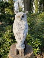 Beeld sneeuw uil, tuin, zwembad, vijver 55cm, Ophalen, Nieuw, Kunststof, Dierenbeeld