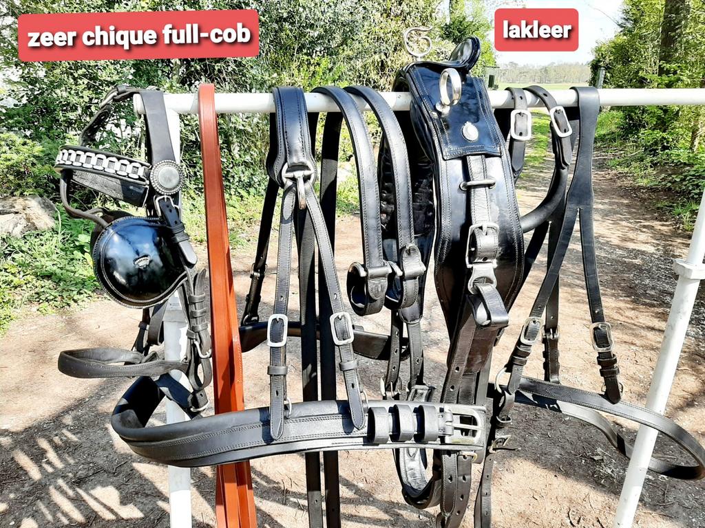 🔴HONGAARS CHIQUE FULL-COB LAKLEER KOETS TUIG 375 €  🔴, Dieren en Toebehoren, Ophalen of Verzenden