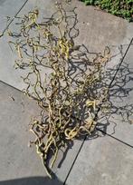 Paastakken van de hazelaar!!, Ophalen of Verzenden, Nieuw