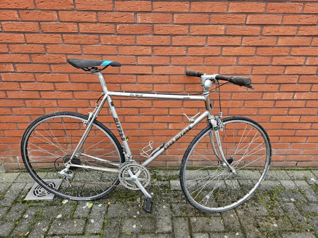 Sportieve herenfiets Koga-Miyata, Fietsen en Brommers, Fietsen | Heren | Sportfietsen en Toerfietsen, 53 tot 57 cm, Ophalen, Gebruikt