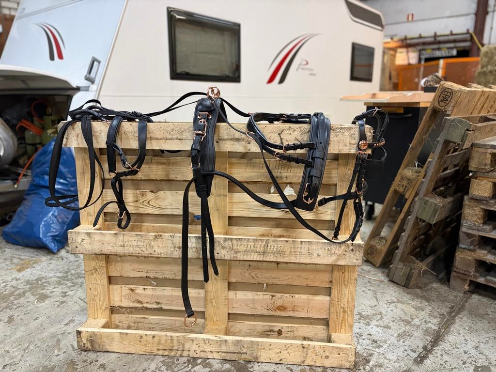 Mini Shet mentuig - Zo goed als nieuw, Dieren en Toebehoren, Ophalen of Verzenden, Zo goed als nieuw, Overige soorten