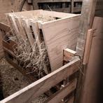 Hooiruifje, Dieren en Toebehoren, Meerdere dieren, Schaap