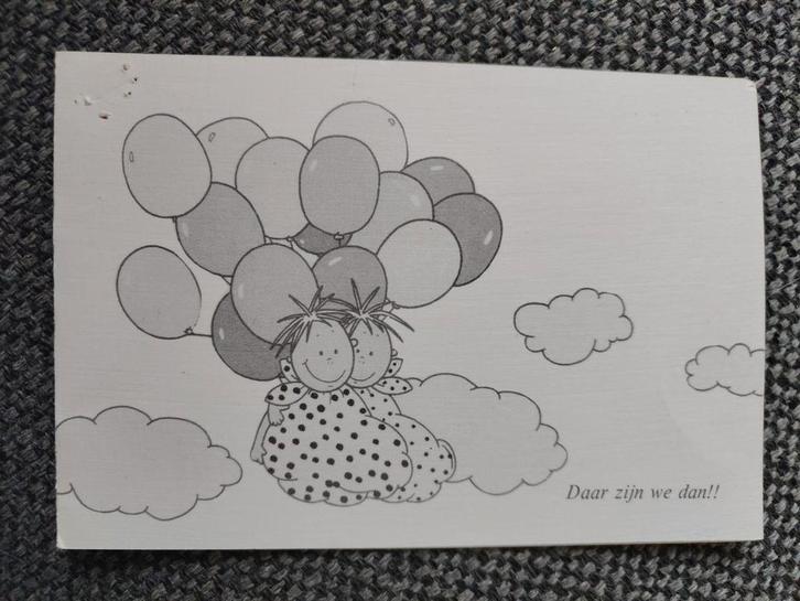 Tweeling, Verzamelen, Geboortekaartjes en Visitekaartjes, Geboortekaartje, 1980 tot 1990, Ophalen of Verzenden