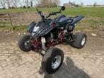 Suzuki LTZ400 quad met autokenteken, 1 cilinder, 398 cc