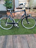 Koga miyata prominence, Versnellingen, Zo goed als nieuw, 57 tot 61 cm, Ophalen