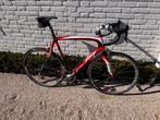Mooie full carbon Pinarello FP7, Gebruikt, Carbon, Heren, Minder dan 49 cm