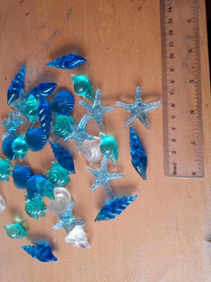 Decoratieve Schelpen en Zeesterren - Blauw/Transparant, Hobby en Vrije tijd, Knutselen, Ophalen of Verzenden