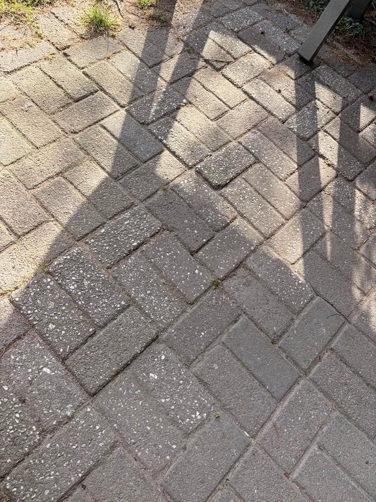 GRATIS Klinkers 15,5m2 / bestrating, Tuin en Terras, Tegels en Klinkers, Ophalen, Gebruikt, Klinkers, 10 m² of meer