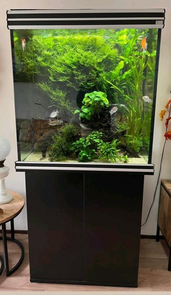 Aquarium, Dieren en Toebehoren, Vissen | Aquaria en Toebehoren, Leeg aquarium, Ophalen of Verzenden
