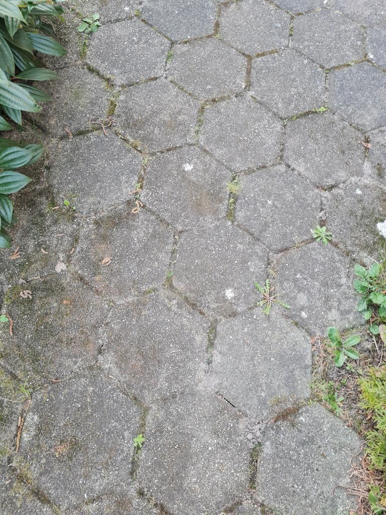 Hexagon stenen gratis op te halen, Ophalen, Beton, Klinkers