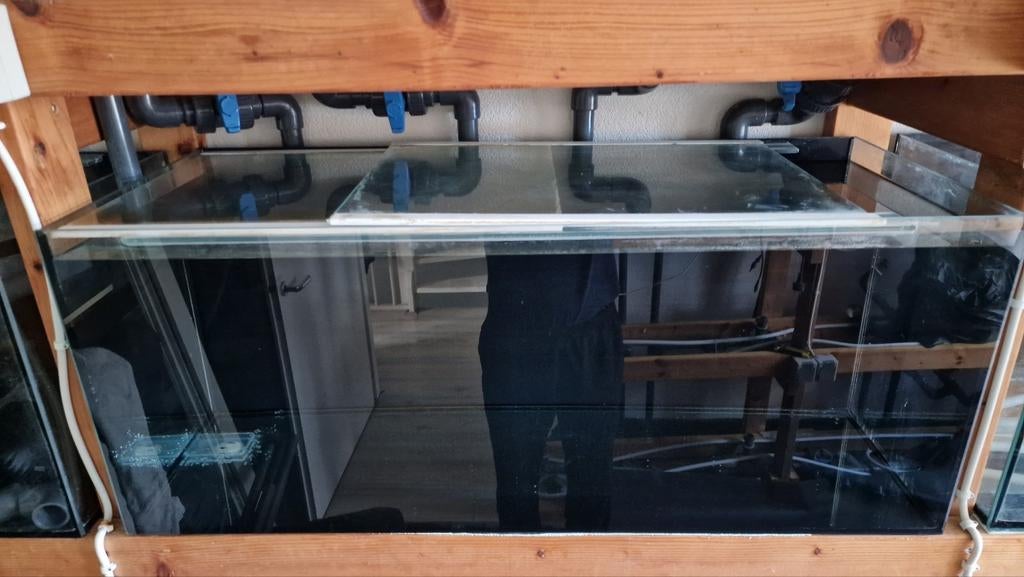 Diverse aquariums 100x40x40 160 liter met afdekruiten, Dieren en Toebehoren, Vissen | Aquaria en Toebehoren, Ophalen, Leeg aquarium