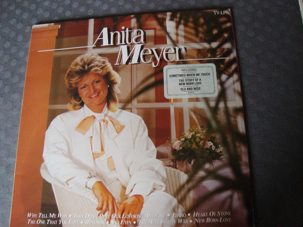 Anita meyer, Ophalen of Verzenden, Zo goed als nieuw, 12 inch