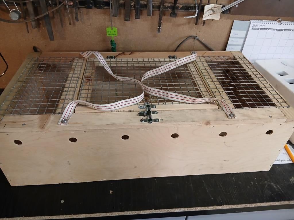 Transport kooi, Ophalen, Minder dan 75 cm, Kooi, Minder dan 60 cm