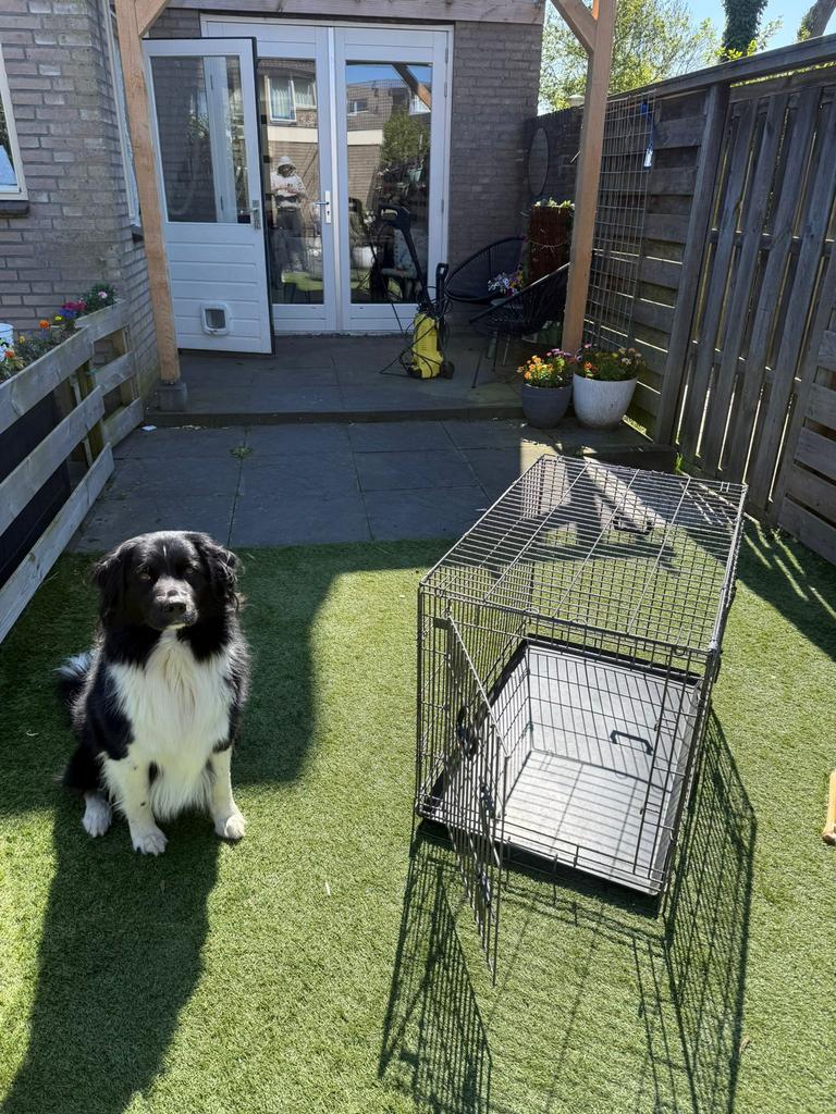 Hondenbench grote honden, Ophalen, Zo goed als nieuw, 75 tot 110 cm, 65 tot 100 cm