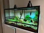 Terrarium Repti-Zoo 120x60x60, nieuw,  Modulair terrarium, Ophalen of Verzenden, Nieuw, Terrarium of Paludarium