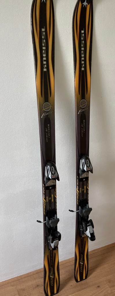Mooie bruikbare ski’s, 160 tot 180 cm, Gebruikt, Ophalen of Verzenden, Carve