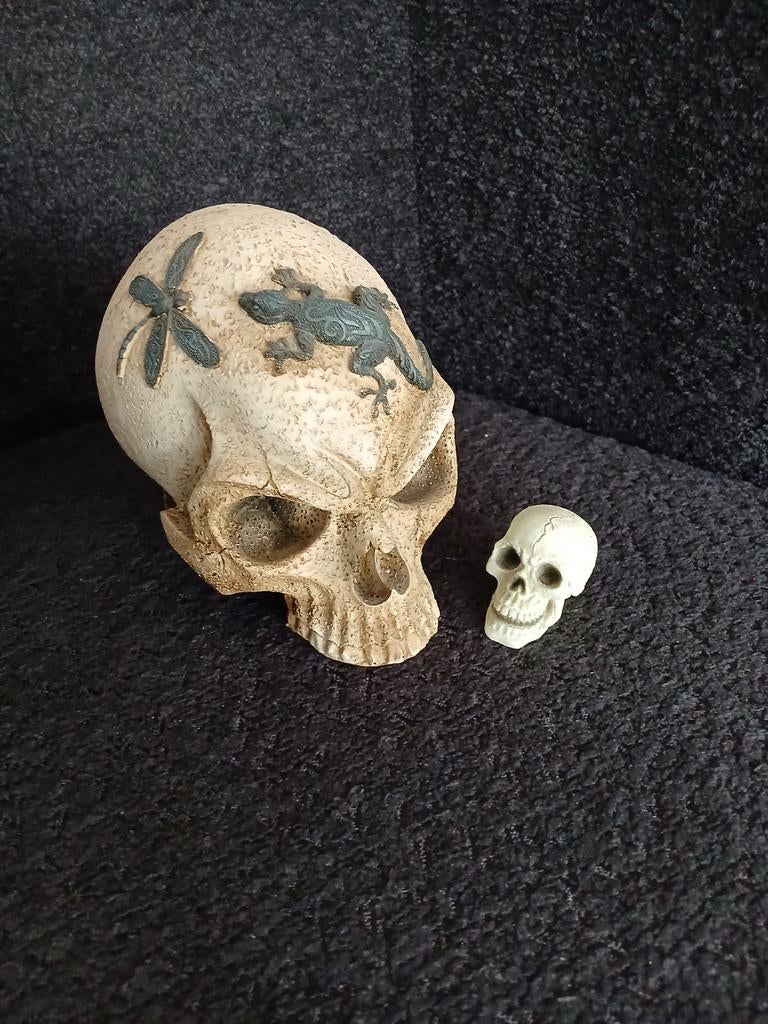 kop skelet, Ophalen, Zo goed als nieuw