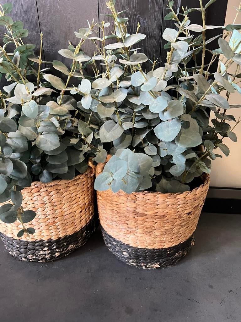 Kunst Eucalyptus, Ophalen, Binnen, Groen, Receptie@gelderschehoutbouw.nl