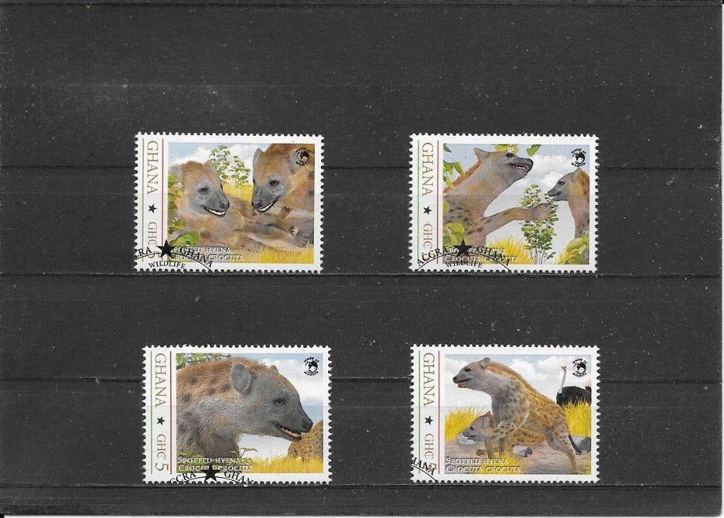 Ghana hyena (1), Ophalen of Verzenden, Gestempeld, Dier of Natuur