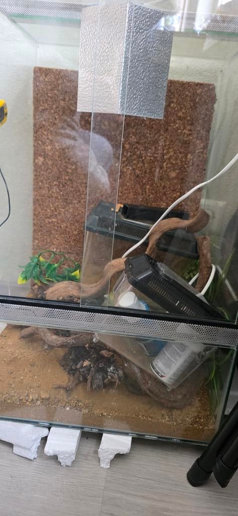 Terrarium 40x40x60, Dieren en Toebehoren, Reptielen en Amfibieën | Toebehoren, Ophalen, Gebruikt